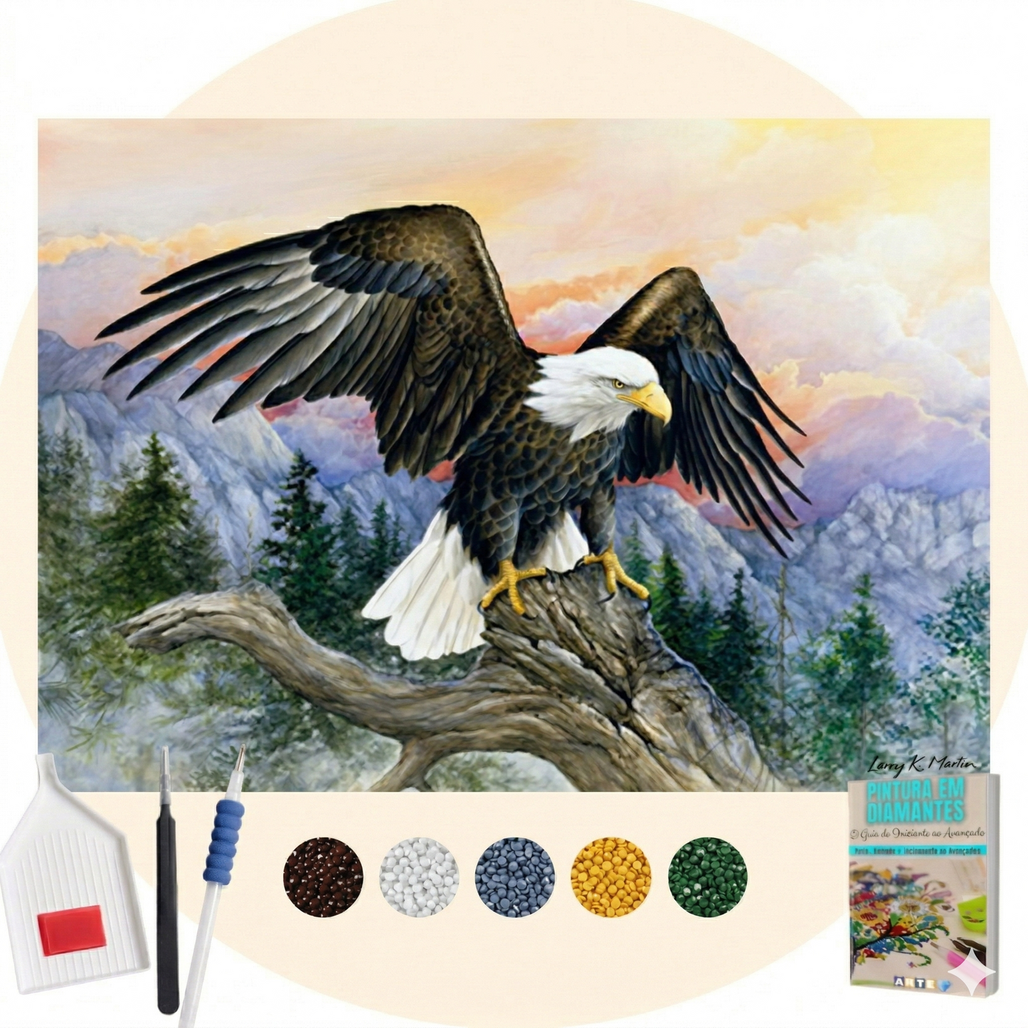 Kit Completo - Pintura em Diamantes - Pronta pra voar