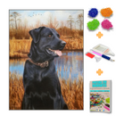 Kit Completo - Pintura em Diamantes - Labrador Preto