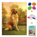 Kit Completo - Pintura em Diamantes - Golden Retrivier