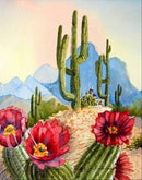 Kit Completo - Pintura em Diamantes - Cactos