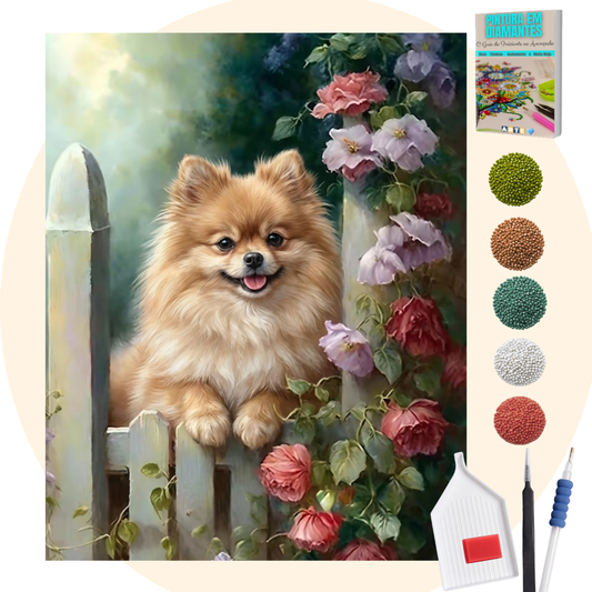 Kit Completo - Pintura em Diamantes - Lulu-da-pomerânia