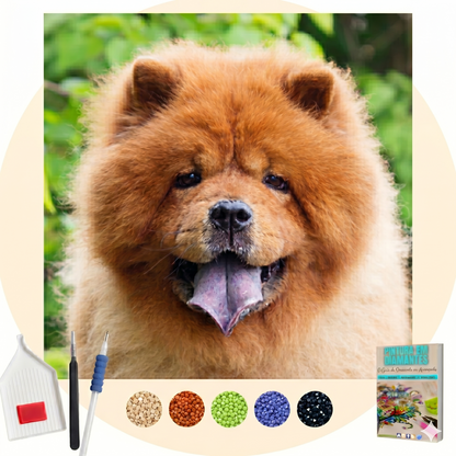 Kit Completo -  Pintura em Diamantes - Chow Chow 2