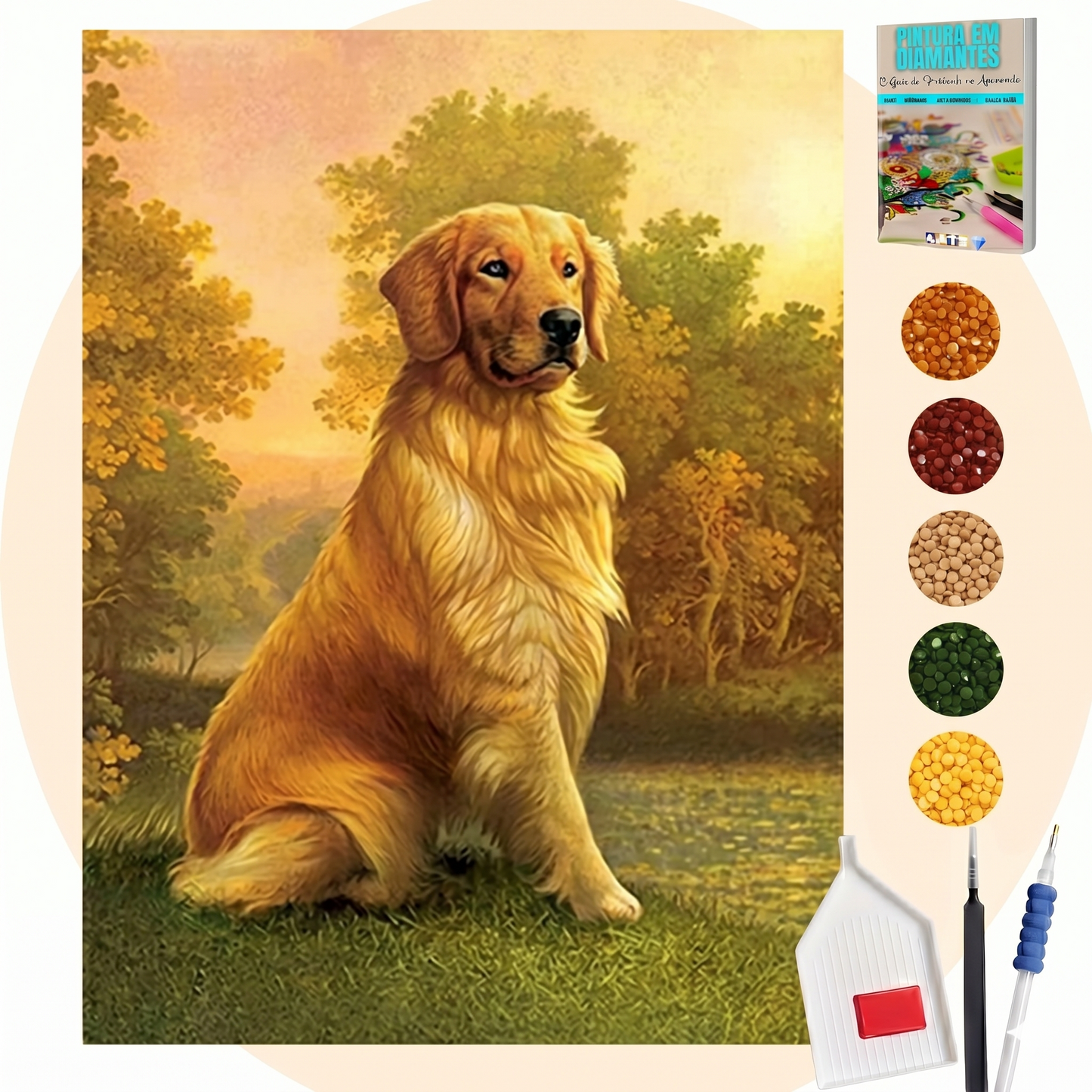 Kit Completo - Pintura em Diamantes - Golden Retrivier