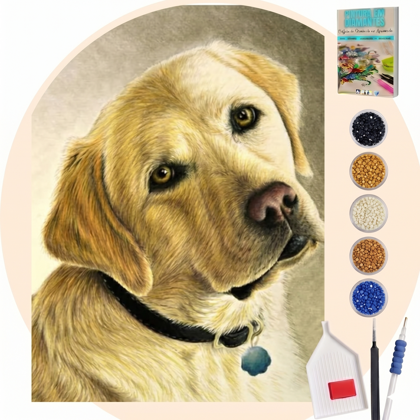 Kit Completo - Pintura em Diamantes - Labrador