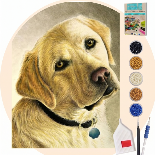 Kit Completo - Pintura em Diamantes - Labrador