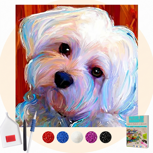 Kit Completo -  Pintura em Diamantes - Maltês