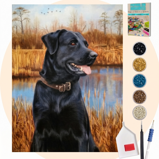 Kit Completo - Pintura em Diamantes - Labrador Preto