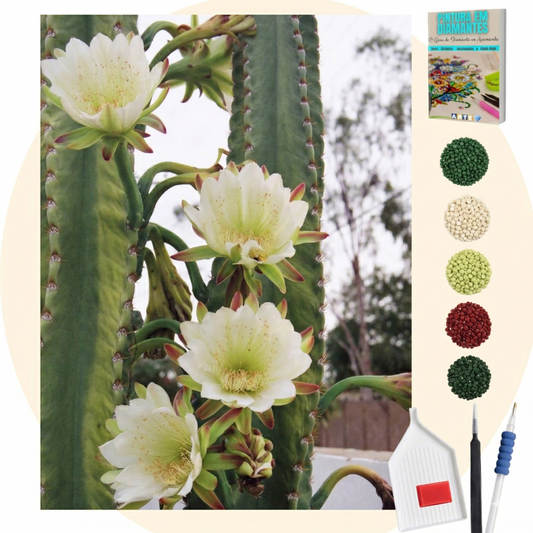 Kit Completo - Pintura em Diamantes - Mandacaru