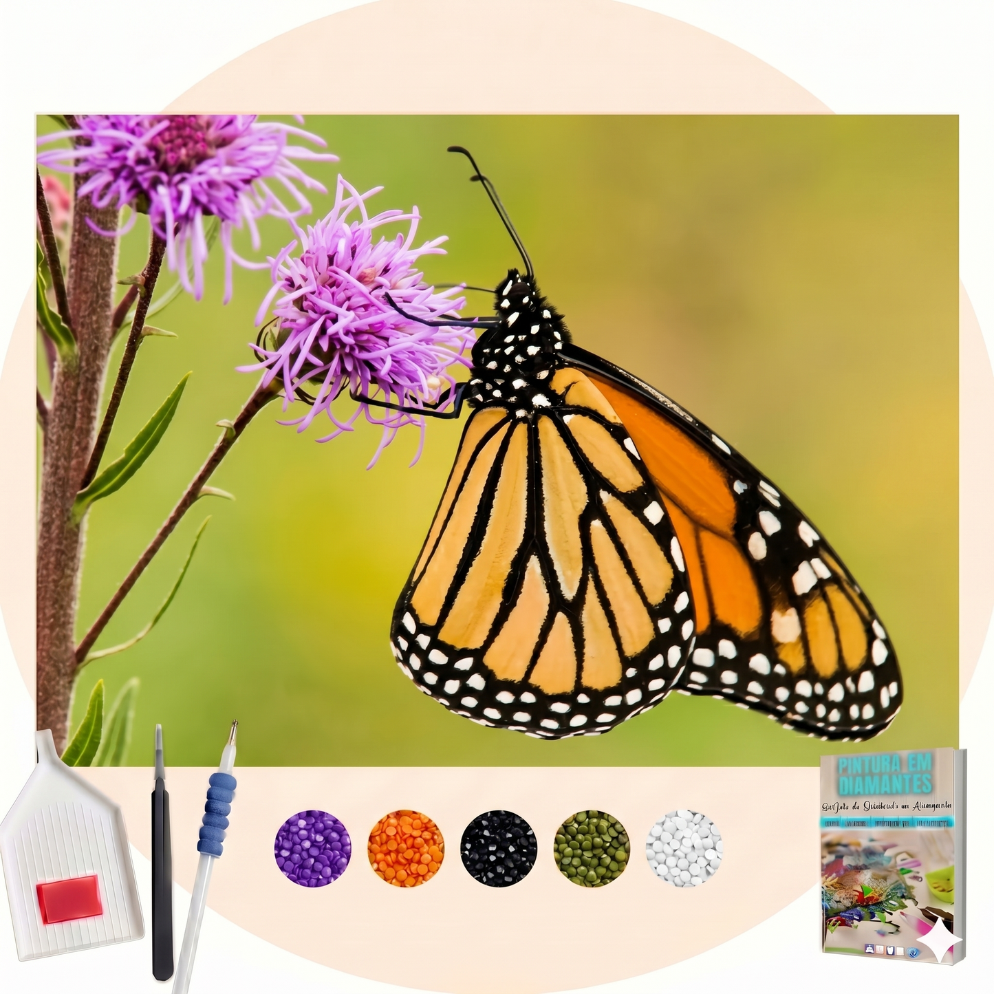 Kit Completo - Pintura em Diamantes - Borboleta