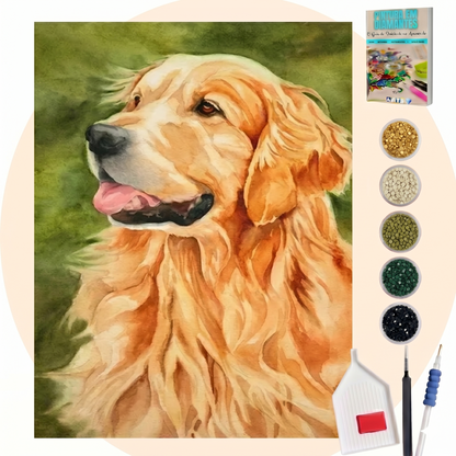 Kit Completo - Pintura em Diamantes - Golden Retrivier