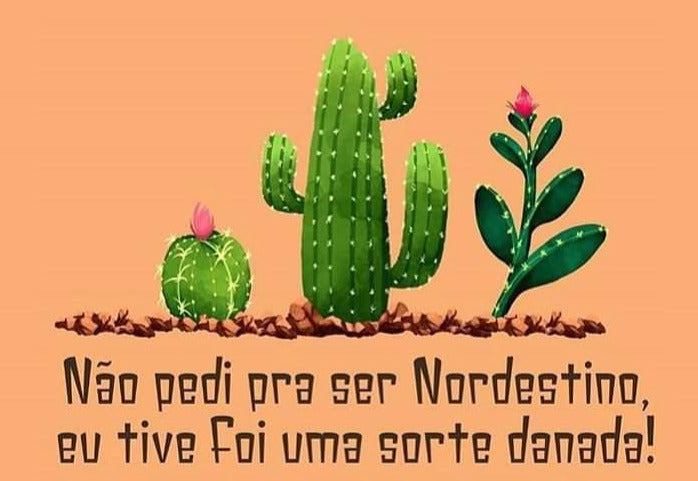 Kit Completo - Pintura em Diamantes - Sorte de ser Nordestino!