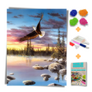 Kit Completo - Pintura em Diamantes - Voando alto