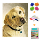 Kit Completo - Pintura em Diamantes - Labrador