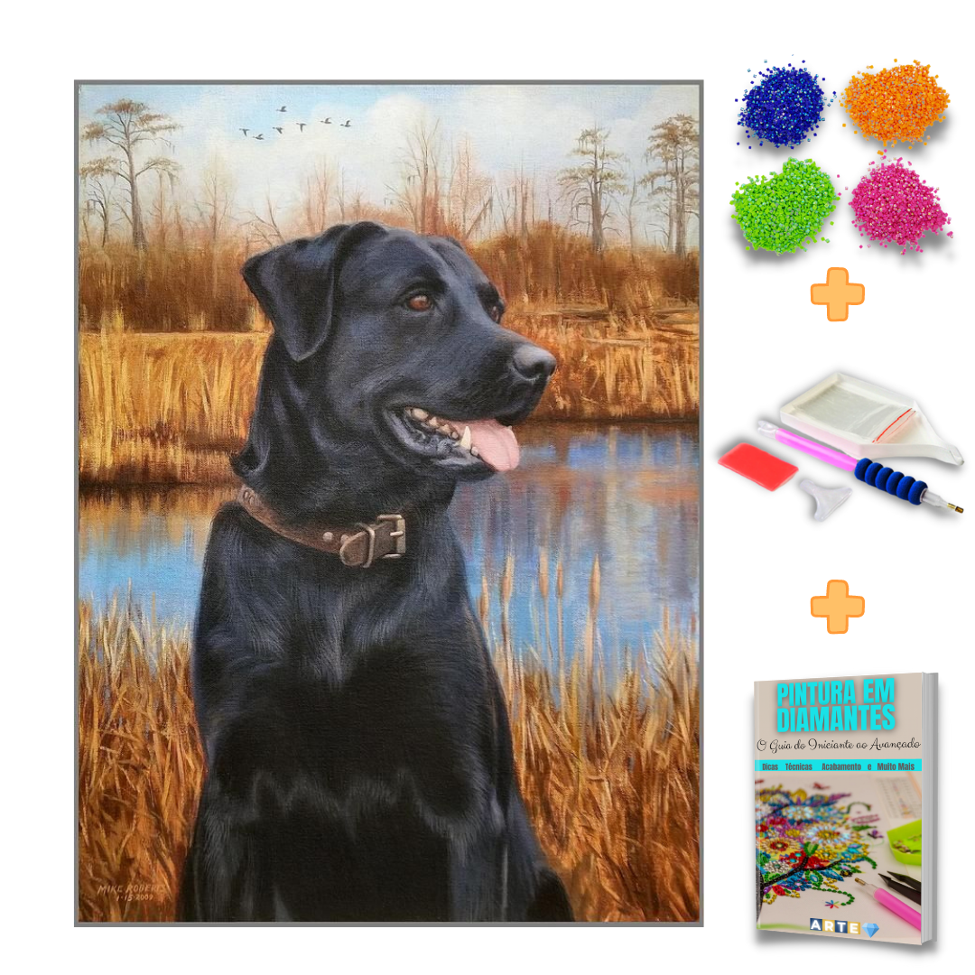 Kit Completo - Pintura em Diamantes - Labrador Preto