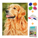 Kit Completo - Pintura em Diamantes - Golden Retrivier
