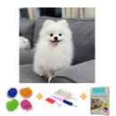 Kit Completo -  Pintura em Diamantes - Spitz Alemão