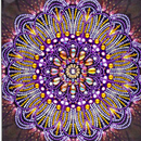 Kit Completo - Pintura em Diamantes - Mandalas Especiais 1 - 25x25