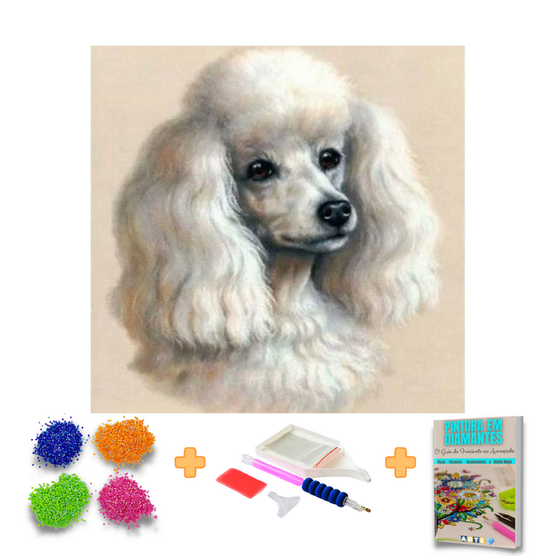 Kit Completo -  Pintura em Diamantes - Poodle
