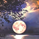 Pintura em Diamantes