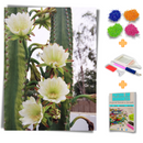 Kit Completo - Pintura em Diamantes - Mandacaru