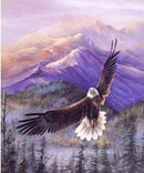 Pintura em Diamantes