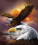 Kit Completo - Pintura em Diamantes - Dragão