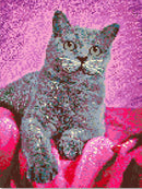 Kit Completo - Pintura em Diamantes - Gatinho Cinza- 30x42cm